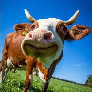 Meet your Posher, Kamryn